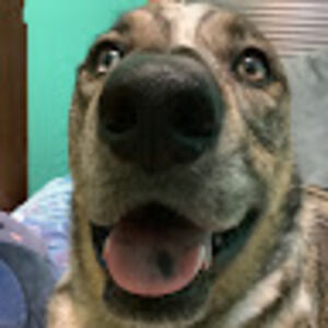 Meet your Posher, Abrielle